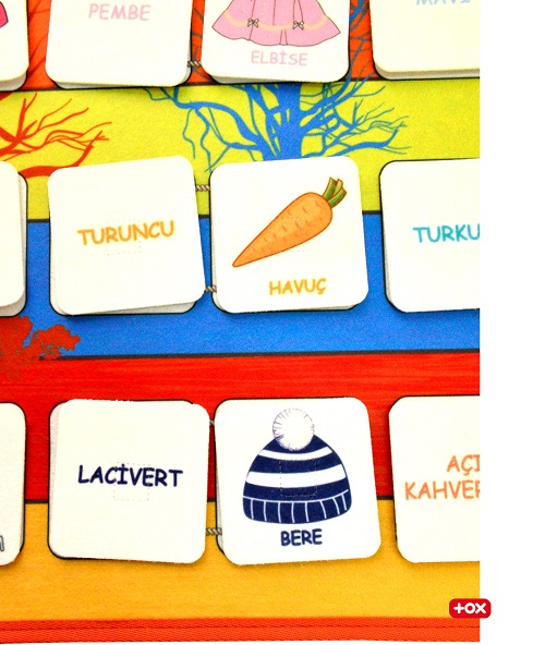 Tox Renkleri Öğreniyorum Cırtlı Pano