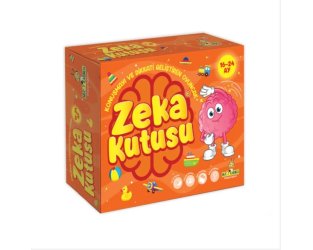 Zeka Kutusu 16-24 Ay